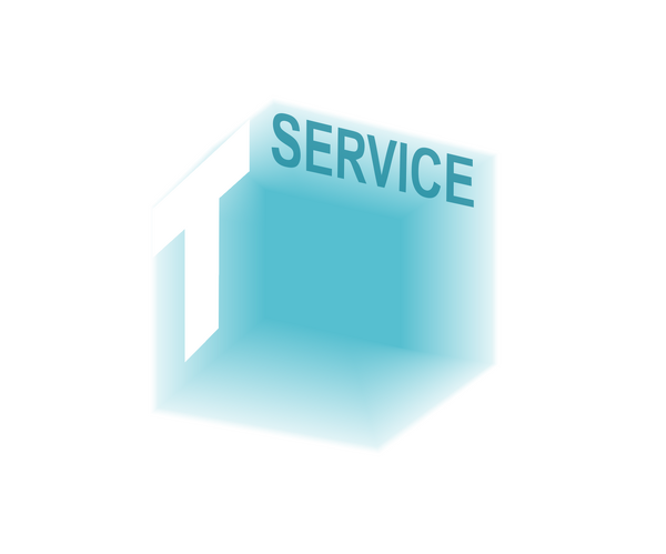 TService BV